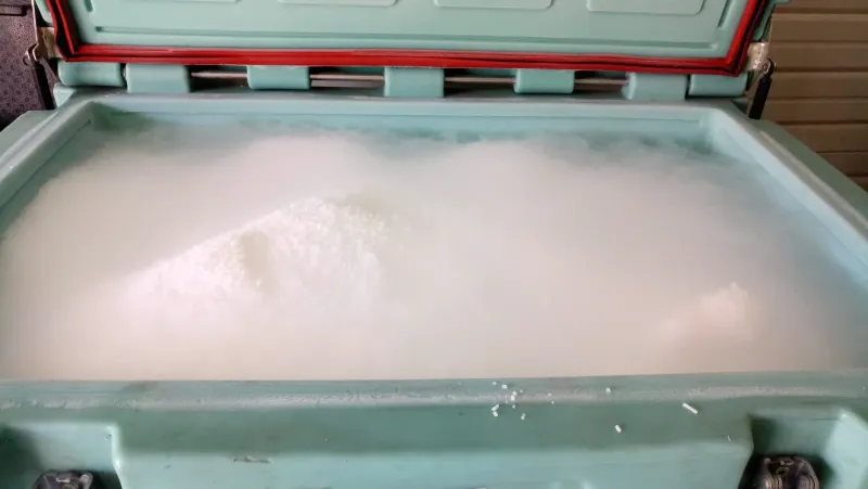 Fournisseur de glace arbonique à proximité de Lyon : Delta Diffusion